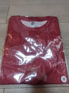 非売品　ノーザンホースパークマラソン記念TシャツMサイズのサムネイル
