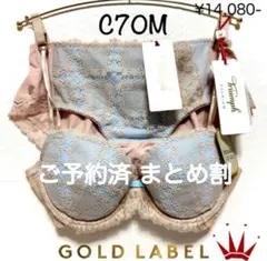 ✴︎C70M ゴールドレーベル バイ トリンプ3058 ブラ＆ショーツBlue