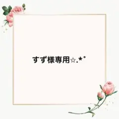 すず様 リクエスト 2点 まとめ商品