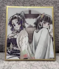 鬼滅の刃 アクリル色紙 WEBSHOPくじ 胡蝶しのぶ・栗花落カナヲ B33