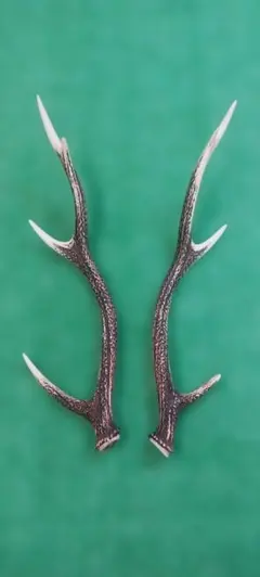 2026年最新】置物 鹿 角の人気アイテム - メルカリ