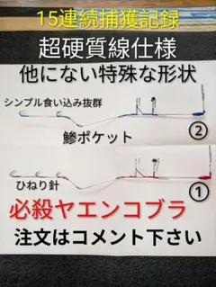 希少カラーたまらんばいブルー新品未使用 コイケ17mm2個 究極コイケ2個