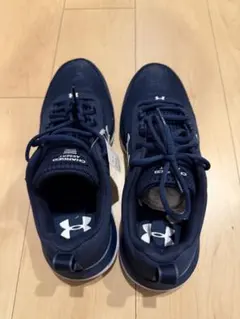 Item thumbnail for item f50a011f-fd85-4e5b-81b1-77fcc93dd652