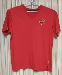 メンズXLサイズ アメリカ古着Tシャツ 大きいサイズ クリーニング済 S36