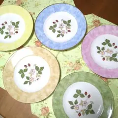 【未使用】ウェッジウッド ワイルドストロベリー フルリムプレート５色セット