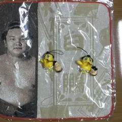 Item thumbnail for item 0be8e546-7aa4-4ce9-92b2-8a6cd5817214