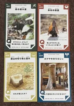 キヅキノキカード 4枚セット No.001 004 008 009