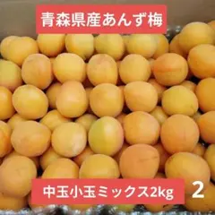 山形県産『節田梅』ジャム用訳ありミックス2kg、特大1.5kg＋2L1.5kg 木成り完全完熟❗️山形県産『節田梅』ジャム用訳ありミックス2kg