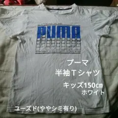 キッズ150㎝ プーマ 半袖Ｔシャツ コットン ホワイト ユーズド
