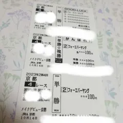 フォーエバーヤング メイクデビュー京都 現地単勝応援クイックピック単勝コピー券♪