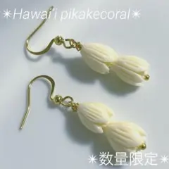 Item thumbnail for item d17f1733-5a9d-49a8-9a84-04c8b66eec5e