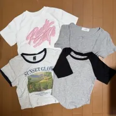 レディース 半袖tシャツ5枚セット