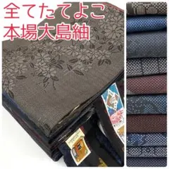 【TAMA屋】全て正絹全て本場大島紬 全てたてよこ まとめ売り10点TM2663