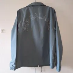 Item thumbnail for item 82c2b5a8-fcf4-4a62-85c2-282b67589531