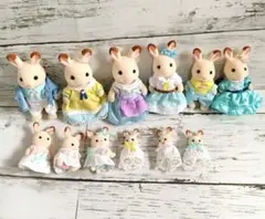 絲絨森林家族 35週年巧克力兔家族慶祝套裝