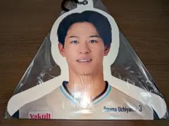 未使用】ヤクルト 内山壮真 選手ビジュアルパネル フォトハンガー