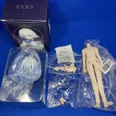 謎塔猫匣 星痕 ヘッド ブラインドドール bjd 星星 色違い 異色 ボディ