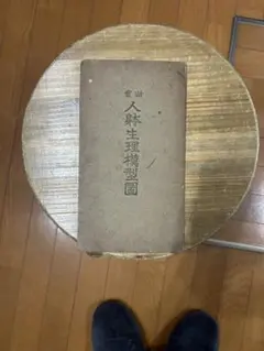 Item thumbnail for item d7c71217-76ba-499b-8643-aae43d6cfe30