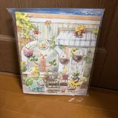 ポケモンカード コレクションファイル Grassy Gardening 未開封