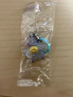 TRUZめじるしアクセサリーキラキラTREASURE ROMYジフン