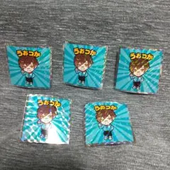 クレイジーラクーンマンチョコ うおっか 5枚セット