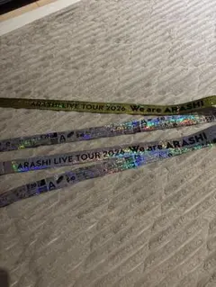 Item thumbnail for item 743ddf49-4bf2-4df8-a472-967b27ab7947