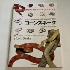 コーンスネーク