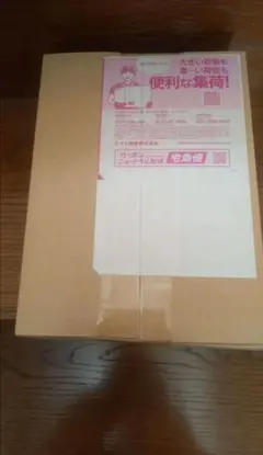 【ポケセン産】ニンジャスピナー1BOX シュリンク付き