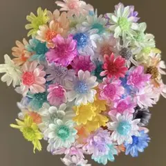 No.230 お得　スターフラワーミニ　ミックス　60個以上　ハーバリウム