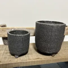 COMWORK STUDIO 植木鉢 2個セット 作家鉢 信楽焼 アガベ 塊根