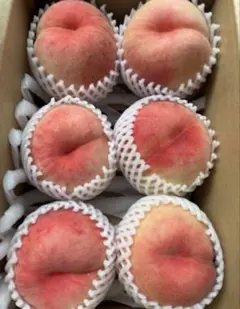 13 山形県産 桃 おどろき 約5キロ 訳あり❣️ - メルカリ