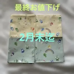 Item thumbnail for item 816e7225-66a5-4dbb-b361-1ea2f775a338