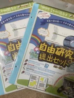 Item thumbnail for item 01be7383-f27f-4dda-b6ec-481885edb3c0