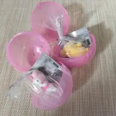 サンリオキャラクターズ ミニチュアチャーム~ライブキャラクター~ ２点セット