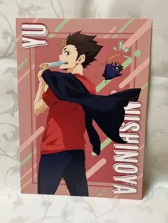 ハイキュー!! Yummy A５ポストカード　アニメイト限定