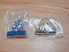SEVENTEEN MINITEEN キャラクターキーホルダー 2点セット
