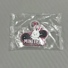 Miniteen めじるしアクセサリー　エスクプス