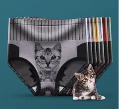 Item thumbnail for item 8614d4a0-4b4e-4a56-856f-a8629f4eb538