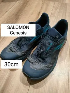 2026年最新】GENESIS salomonの人気アイテム - メルカリ