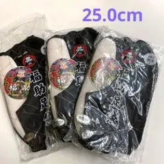 Item thumbnail for item fef6598c-0a07-466b-912a-d2303a84135f