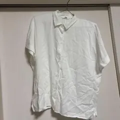 Item thumbnail for item 4fc8279c-c1f4-4eb5-a349-e3fb23258bf4