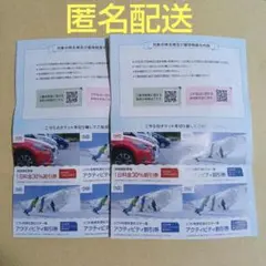 日本駐車場開発　リフト利用含むスキー場アクティビティ割引券6枚、駐車場割引券2枚