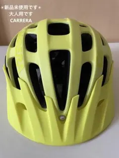 Item thumbnail for item a4418628-4fab-4019-a00d-3aa5836bae96