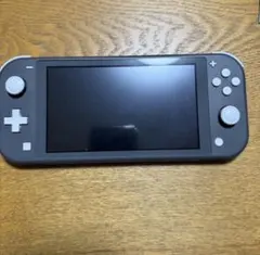 Nintendo Switch Lite グレー 本体
