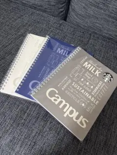 Item thumbnail for item 4fafffea-237a-48a5-aae0-1fad5d9e8adb