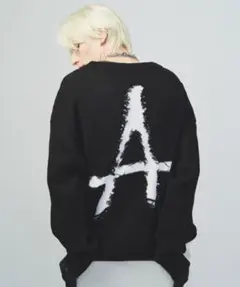 【未使用に近い】AIVER Aダメージニット ブラック Lサイズ バックロゴのサムネイル