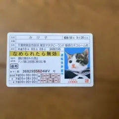 2025年最新】なめねこ免許証カードの人気アイテム - メルカリ