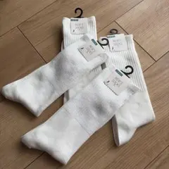 Item thumbnail for item 86b21d37-abf8-4d61-b7fb-92ea0691bf3e