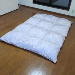 ★本日11月30日 日曜日のみの限定価格★ 西川★ 羽毛掛け布団 シングルロング