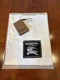 BURBERRY ロゴTシャツ ホワイト Mのサムネイル